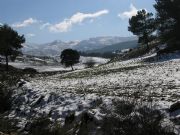 nieve el la sierra tejeda
